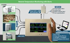 Temperature Sensor With Remote